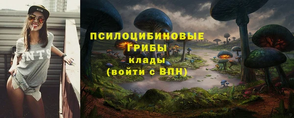 марки nbome Алексеевка