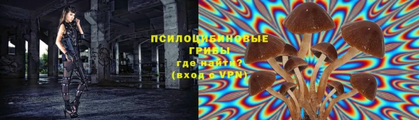 прущая мука Абаза